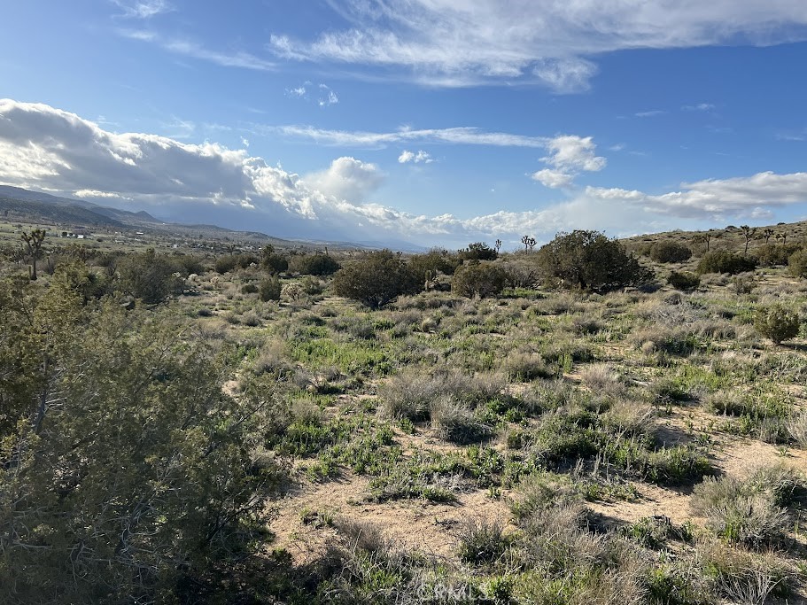 MLS #SR25254609 image #14