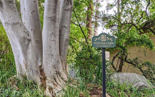 Detail Gallery Image 57 of 57 For 4900 E Chapman Ave #51,  Orange,  CA 92869 - 2 Beds | 2 Baths