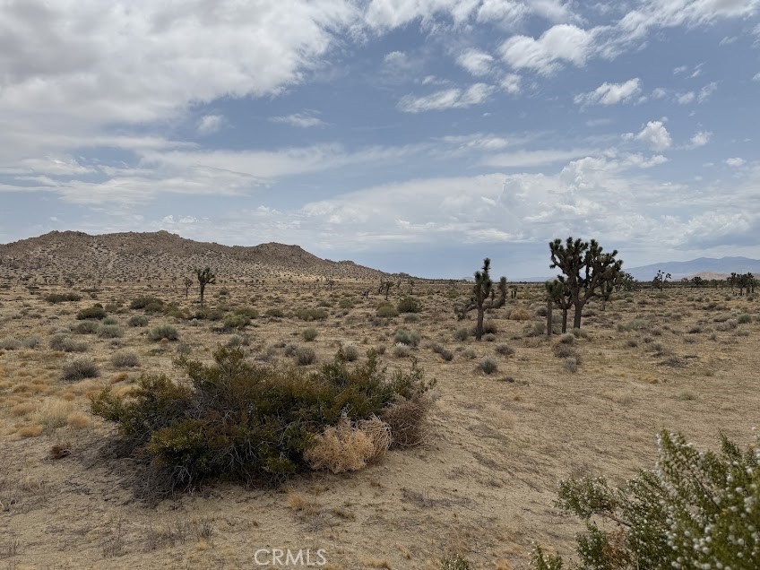 MLS #SR26165095 image #51