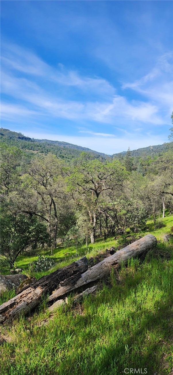 Detail Gallery Image 12 of 23 For 13566 Helltown Parcel 1, Chico,  CA 95928 - – Beds | – Baths