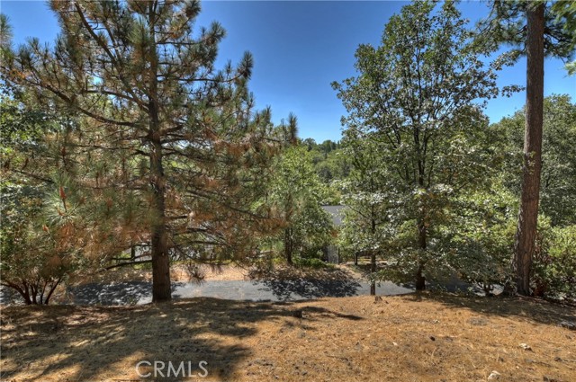 Detail Gallery Image 34 of 34 For 28203 Arbon Ln, Lake Arrowhead,  CA 92352 - 3 Beds | 2 Baths