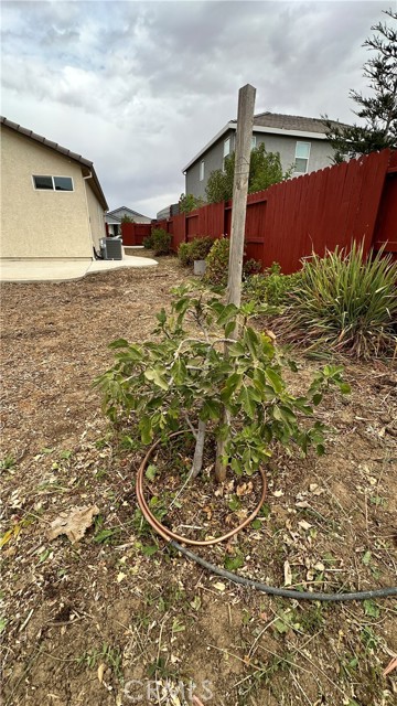 2428 Freestone Drive, Merced, California 95340, 4 Bedrooms Bedrooms, ,2 BathroomsBathrooms,Single Family Residence,For Sale,Freestone,MC24196229