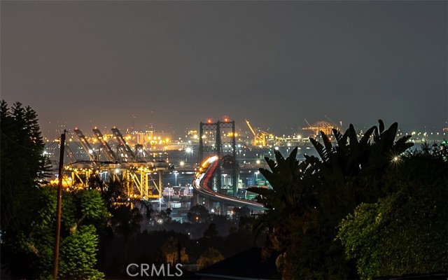 Vincent Thomas at Night!
