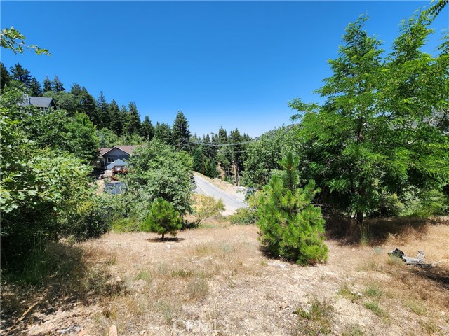 Detail Gallery Image 21 of 30 For 31912 Encina Way, Running Springs,  CA 92382 - – Beds | – Baths