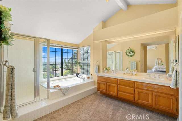 The primary suite bathroom includes a dual vanity, soaking tub, walk-in shower, and two walk-in closets
