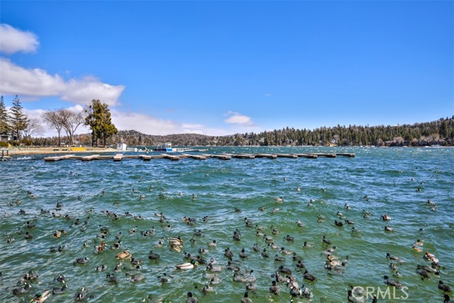 Detail Gallery Image 15 of 16 For 524 Pioneer Rd, Lake Arrowhead,  CA 92352 - 4 Beds | 2 Baths