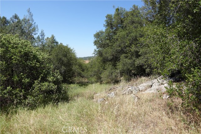 Front Image Thumbnail for CRRS26097835