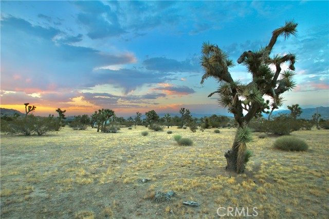 Detail Gallery Image 4 of 12 For 0 Forrest Dr, Yucca Valley,  CA 92284 - – Beds | – Baths