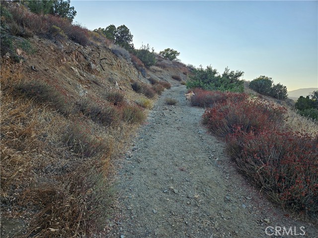 Detail Gallery Image 16 of 23 For 0 Angeles Forest, Palmdale,  CA 93550 - – Beds | – Baths