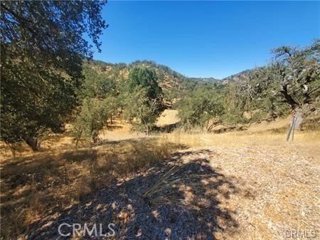 MLS #SC25236278 image #7