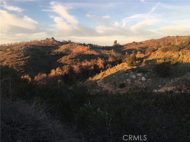 646 Rice Canyon, Fallbrook, CA, 92028 646 Rice Canyon, Fallbrook, CA, 92028
