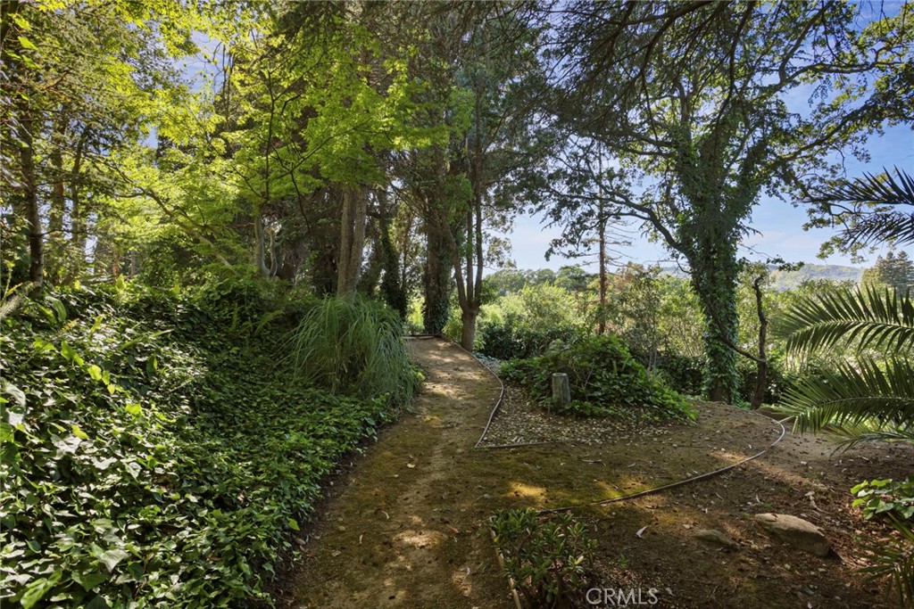 https://media.crmls.org/medias/e3c0d14b-da64-4069-800a-44900fd06989.jpg?preset=X-Large