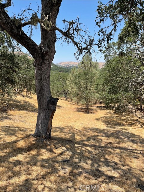 9025 Junipero Avenue, Atascadero, California 93422, ,Land,For Sale,9025 Junipero Avenue,CRSC24001877