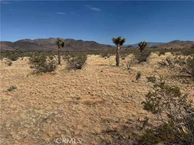 Detail Gallery Image 9 of 32 For 0 Japatul Rd, Apple Valley,  CA 92307 - – Beds | – Baths
