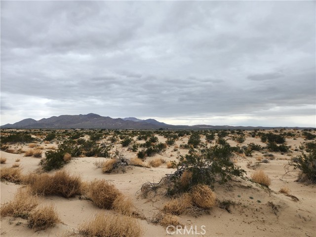 Detail Gallery Image 1 of 4 For 40 Ac on Yearling Rd, Newberry Springs,  CA 92356 - – Beds | – Baths