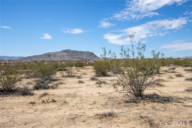 Detail Gallery Image 19 of 19 For 0 Sunny Sands, Joshua Tree,  CA 92252 - – Beds | – Baths