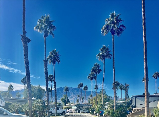 Detail Gallery Image 15 of 29 For 69411 #360 Ramon, Cathedral City,  CA 92262 - – Beds | – Baths