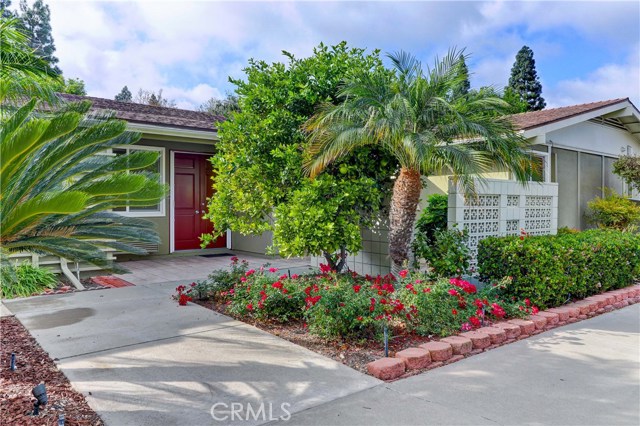 232 Avenida Majorca #F, Laguna Woods, CA 92637