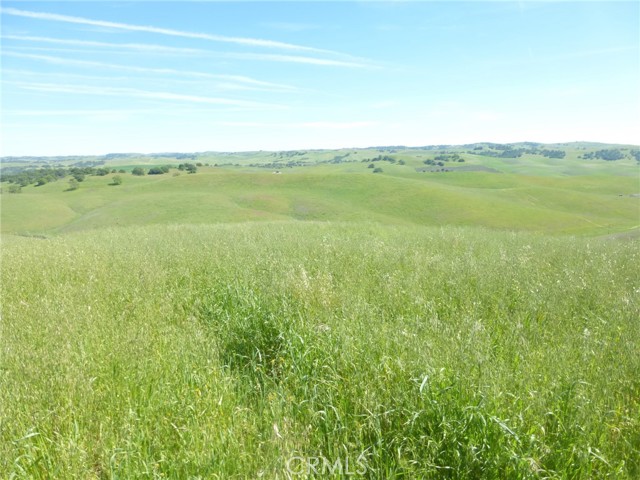 Detail Gallery Image 14 of 44 For 0 Douglas Rd. (Lot 34), San Miguel,  CA 93451 - – Beds | – Baths