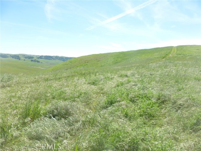 Detail Gallery Image 23 of 51 For 0 Douglas Rd. (Lot 33), San Miguel,  CA 93451 - – Beds | – Baths