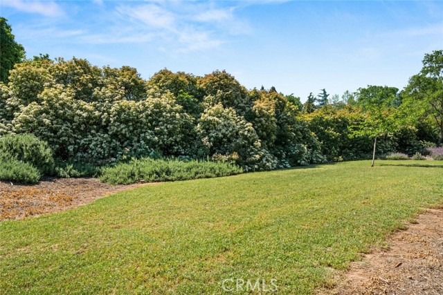 Detail Gallery Image 51 of 59 For 80 Mimosa, Chico,  CA 95973 - 4 Beds | 2 Baths