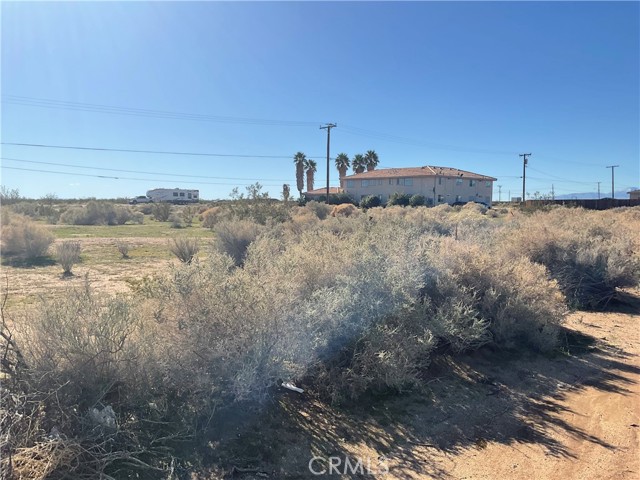 Front Image Thumbnail for CRSR26109415