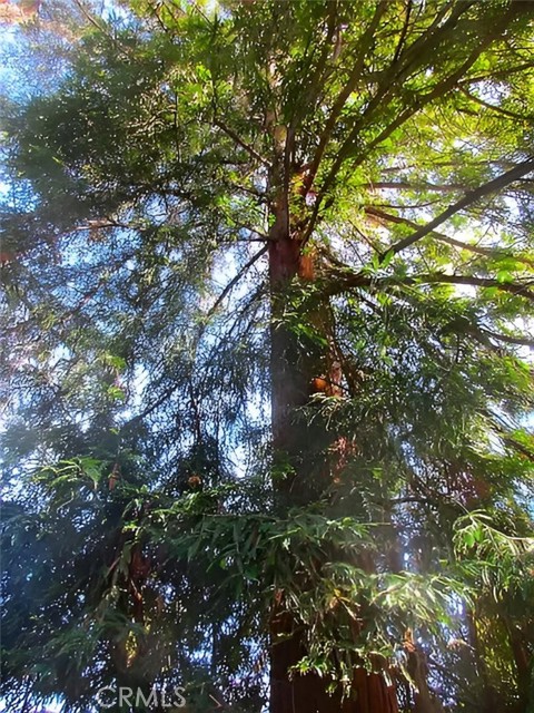 Detail Gallery Image 45 of 48 For 677 Elm St, San Jose,  CA 95126 - 2 Beds | 1 Baths