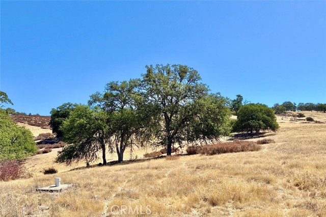 0 Bradley Lockwood Road, Bradley CA: https://media.crmls.org/medias/e3ed8478-be22-40ff-9edc-bc2cc8e40d65.jpg