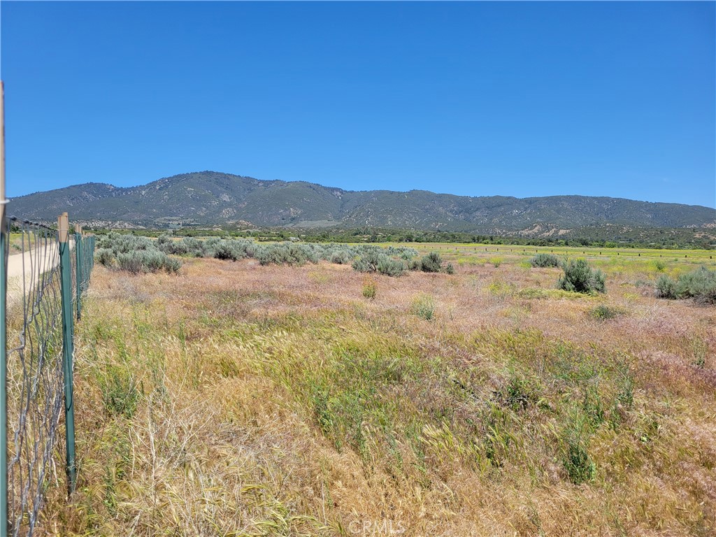 49 Bonita Vista