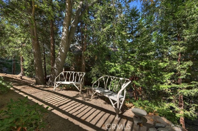 789 Jagerhorn Dr, Lake Arrowhead, CA 92352