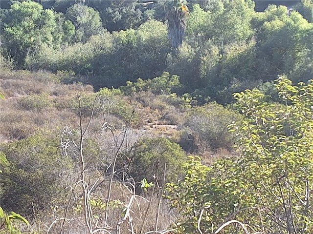 Detail Gallery Image 13 of 25 For 0 via Puerta Del Sol, Bonsall,  CA 92003 - – Beds | – Baths