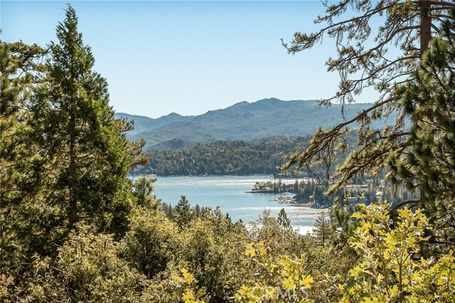 201 Grizzly, Lake Arrowhead, CA 92352