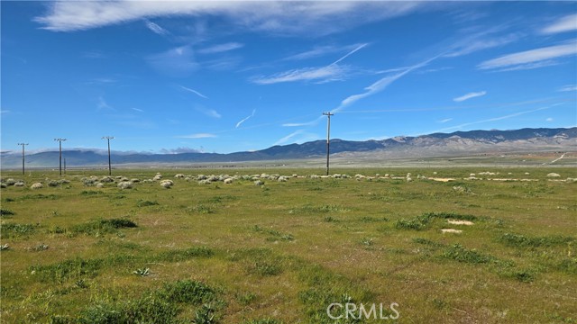 Detail Gallery Image 33 of 39 For 0 Avenue B-8 Vicinity 265th St W, –,  CA 93536 - – Beds | – Baths