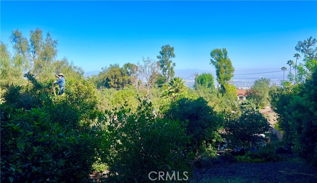 Detail Gallery Image 4 of 74 For 2 Chuckwagon Rd, Rolling Hills,  CA 90274 - 3 Beds | 2/1 Baths