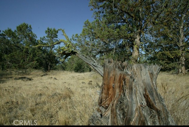 Detail Gallery Image 4 of 11 For 0 99xx Big Springs Rd, Montague,  CA 96064 - – Beds | – Baths