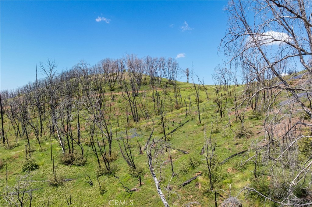 MLS #MP25088475 image #32
