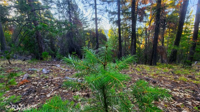 0 Mill Creek Road, Yreka, CA, 96097 0 Mill Creek Road, Yreka, CA, 96097