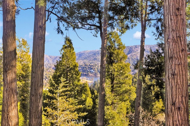 Detail Gallery Image 12 of 68 For 993 Mercury Way, Crestline,  CA 92325 - 2 Beds | 2 Baths