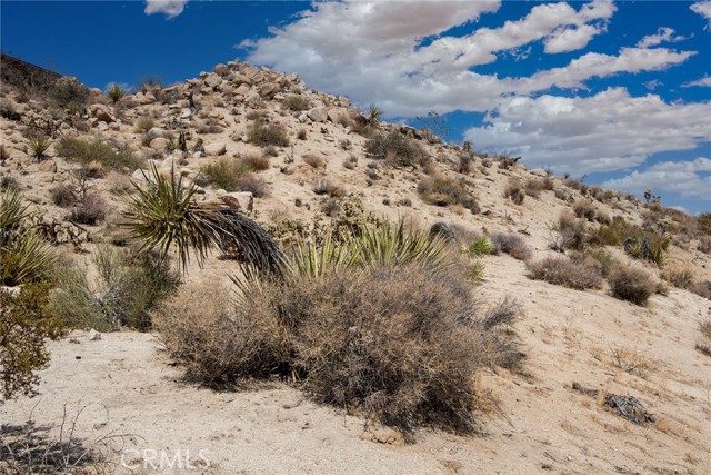 Detail Gallery Image 8 of 13 For 999 Mandarin Rd, Yucca Valley,  CA 92284 - – Beds | – Baths