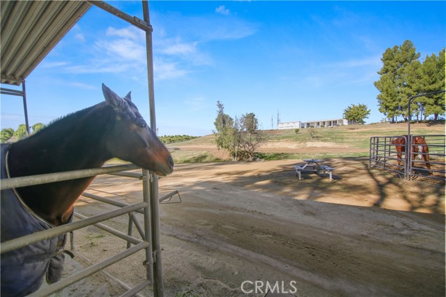 Detail Gallery Image 27 of 32 For 39645 Bella Vista Rd, Temecula,  CA 92592 - 3 Beds | 2 Baths