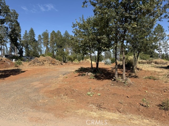 Front Image Thumbnail for CRPA26178232