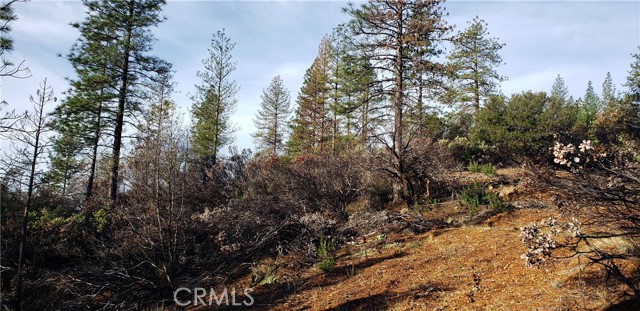Detail Gallery Image 9 of 14 For 0 Lumberjack Road, Oroville,  CA 95965 - – Beds | – Baths