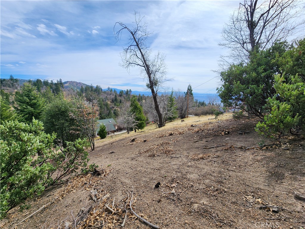 MLS #IG25045374 image #9