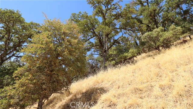 620 Park Way, Lakeport CA: https://media.crmls.org/medias/e42b08a9-1c5a-4f16-a11f-250f2d3ea626.jpg