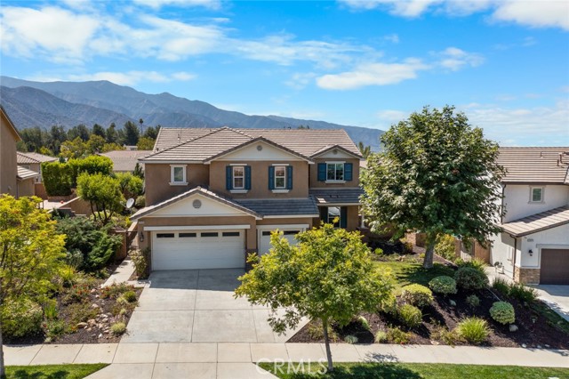 Front Image Thumbnail for CROC25266085