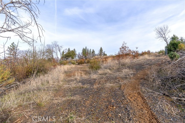 2231 Lumpkin Road, Oroville, California 95966, ,Land,For Sale,2231 Lumpkin Road,CRSN23227176