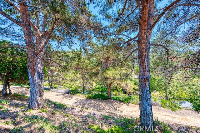 Detail Gallery Image 26 of 26 For 1017 Honeysuckle Dr, San Marcos,  CA 92078 - 4 Beds | 3 Baths