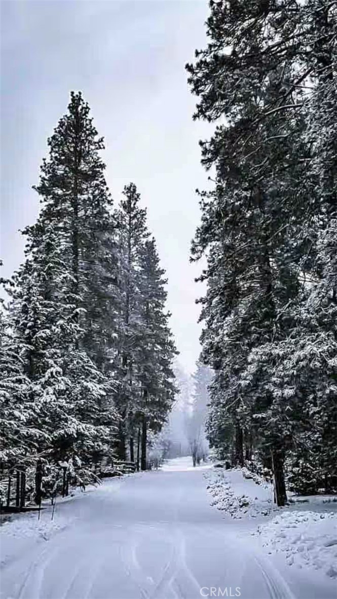 https://media.crmls.org/medias/e4358b82-c58e-4107-802a-e12f83a090a7.jpg?preset=X-Large