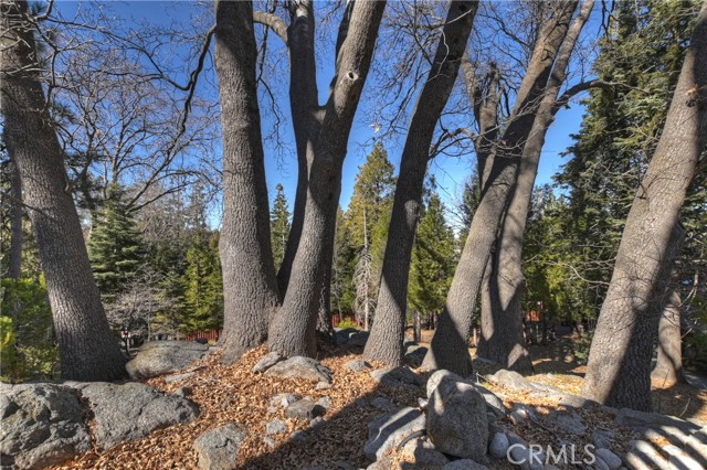 28621 Shenandoah Drive, Lake Arrowhead CA: https://media.crmls.org/medias/e435bdf1-d332-4ddf-81d8-b209552fe39c.jpg