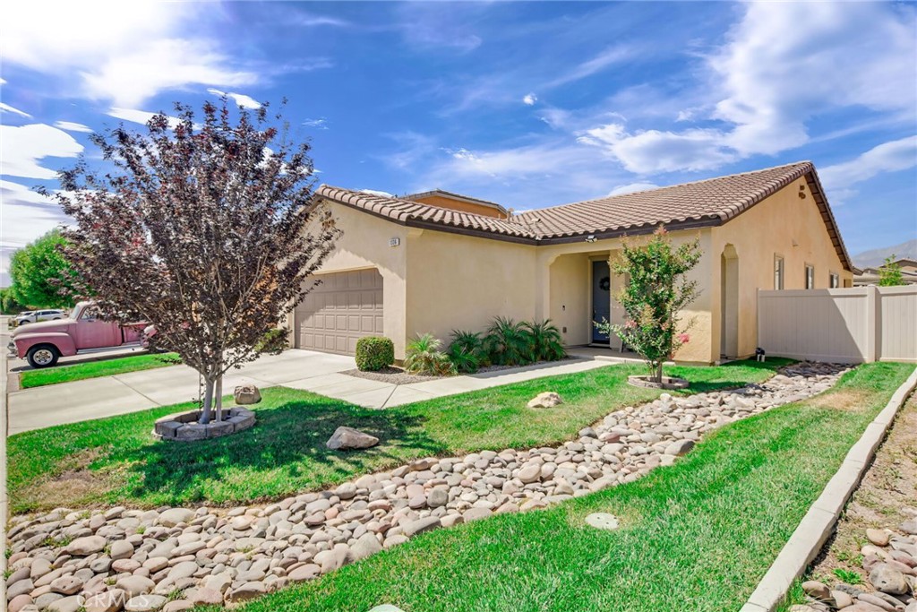1336 Black Diamond